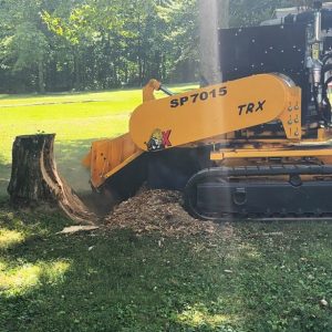 affordable stump grinding Indiana